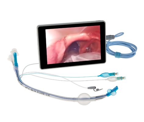 Goede prijs. Video Dubbele lumen endobronchiale buis Directe en nauwkeurige positionering online